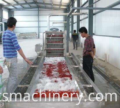 Yellow Peach Canned Production Line